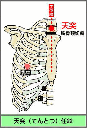 ツボ　てんとつ
