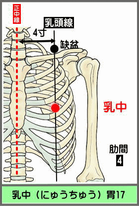 ツボ　にゅうちゅう