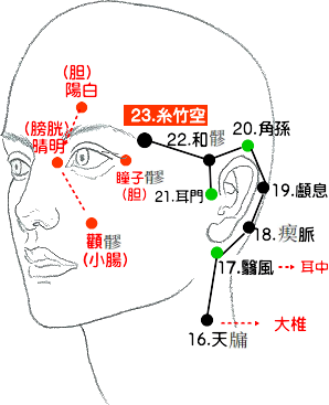 手の少陽三焦経の経絡図