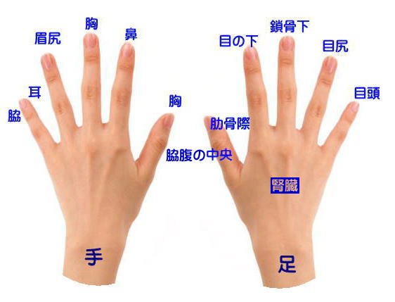 経絡記憶術　手の形